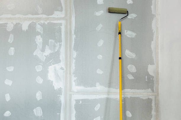 Best Air Quality Testing for Mold Spores  in Wheat Ridge, CO