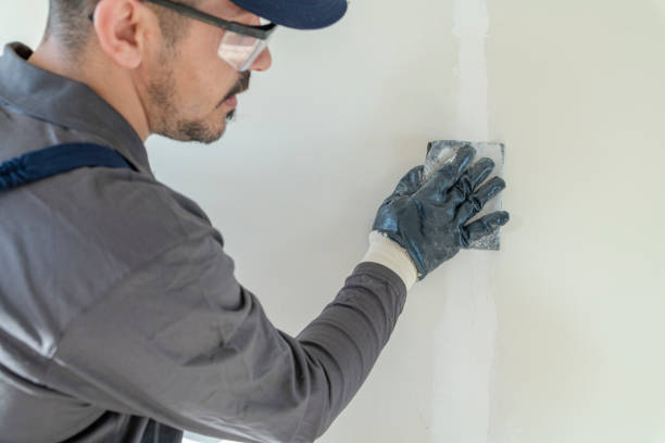 Best Industrial Mold Remediation  in Wheat Ridge, CO
