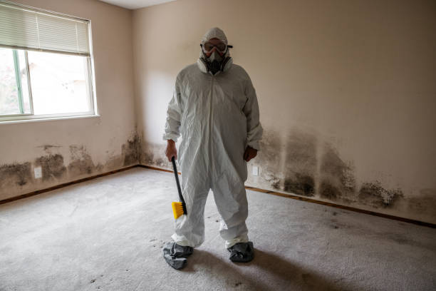 Best HVAC Mold Inspection and Cleaning  in Wheat Ridge, CO