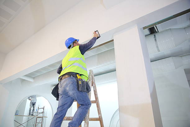 Professional Mold Removal in Wheat Ridge, CO